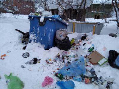 В Глазове не могут вывезти мусор из-за нерасчищенных дорог - gorodglazov.com - респ. Удмуртия - Удмуртия