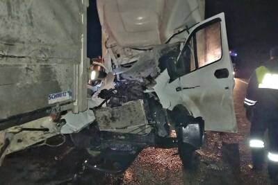 Спасатели вызволили пострадавшего из искореженного грузовика в Крестецком районе - mk.ru - Россия - Великий Новгород