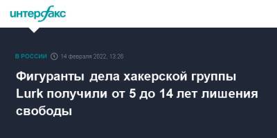 Фигуранты дела хакерской группы Lurk получили от 5 до 14 лет лишения свободы - interfax.ru - Москва - Екатеринбург