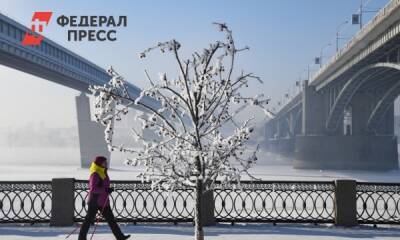 Власти наградили главу Новосибирскстата за укрепление дружбы - fedpress.ru - Новосибирск