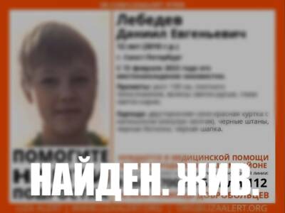 Элизабет Алерт - Пропавший в Петербурге 12-летний мальчик найден живым - ivbg.ru - Украина - Санкт-Петербург - Петербург