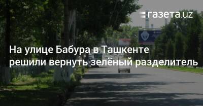 На улице Бабура в Ташкенте решили вернуть зелёный разделитель - gazeta.uz - Узбекистан - Ташкент