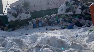 Пенза зарастает мусором из-за не очищенных от снега дорог - penzainform.ru - Сурск - Пенза