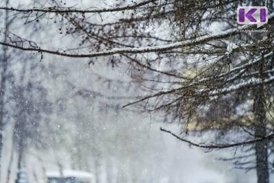 В северных и центральных районах Коми ожидается сильный снег - komiinform.ru - Россия - респ. Коми - Усинск