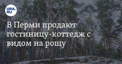 В Перми продают гостиницу-коттедж с видом на рощу. Фото - ura.news - Пермь
