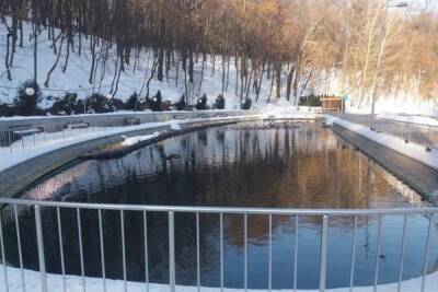 Благодаря возмущению воронежцев пруд в Центральном парке почистили от мусора и хлеба - vrn.mk.ru - Воронеж - Экология