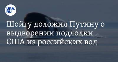 Сергей Шойгу - Владимир Путин - Бен Уоллес - Шойгу доложил Путину о выдворении подлодки США из российских вод - ura.news - Россия - США - Англия - Лондон