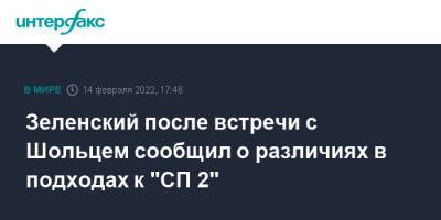 Владимир Зеленский - Олаф Шольц - Олафом Шольцем - Зеленский после встречи с Шольцем сообщил о различиях в подходах к "СП 2" - interfax.ru - Москва - Россия - Украина - Киев - Германия - Берлин