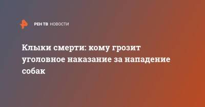 Клыки смерти: кому грозит уголовное наказание за нападение собак - ren.tv