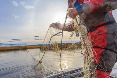Куда в Гродненской области сдать запрещенные орудия рыболовства? - grodnonews.by - Белоруссия