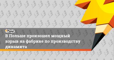 В Польше произошел мощный взрыв на фабрике по производству динамита - ridus.ru - Польша