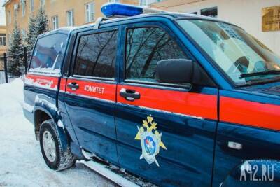 Олег Костин - Жительницу Энгельса арестовали за попытку жесткого убийства своего сына - gazeta.a42.ru - Россия - Саратовская обл. - Энгельс