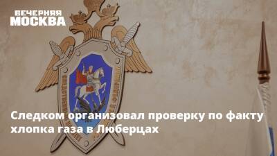 Ольга Врадий - Следком организовал проверку по факту хлопка газа в Люберцах - vm.ru - Москва - Россия - Московская обл. - Следственный Комитет
