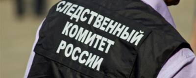 Стало известно, почему житель Среднеуральска застрелил жену - runews24.ru - Среднеуральск