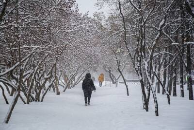 Небольшой снег и -13 градусов мороза – погода в Красноярске 15 февраля - kras.mk.ru - Красноярск