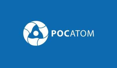 «Ростатом» намерен создать препарат для прицельного уничтожения рака предстательной железы - runews24.ru