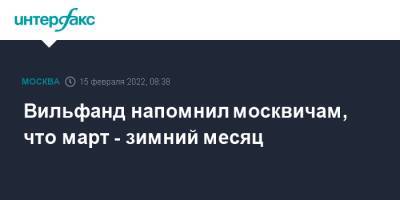 Роман Вильфанд - Вильфанд напомнил москвичам, что март - зимний месяц - interfax.ru - Москва - Россия - Московская обл. - Москва - Московская область