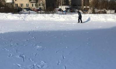 Жители Петрозаводска так и не дождались обещанных властями катков - gubdaily.ru - Петрозаводск