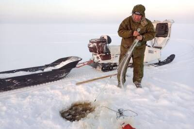 Жители Карелии в Водлозерском парке нарушают закон о ловле рыбы - karel.mk.ru - республика Карелия