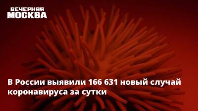 В России выявили 166 631 новый случай коронавируса за сутки - vm.ru - Москва - Россия