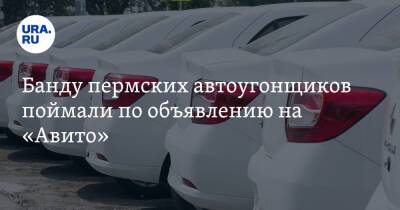 Банду пермских автоугонщиков поймали по объявлению - ura.news