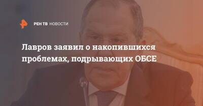 Сергей Лавров - Збигнев Рау - Лавров заявил о накопившихся проблемах, подрывающих ОБСЕ - ren.tv - Россия - Польша - Переговоры