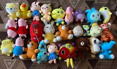 Многодетный отец украл 27 мягких игрушек из игрового автомата - gubdaily.ru - Зеленогорск