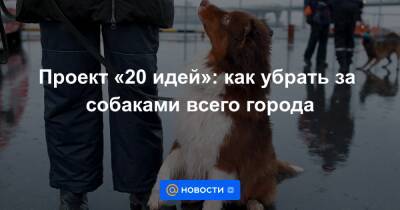 Дмитрий Давыдов - Проект «20 идей»: как убрать за собаками всего города - news.mail.ru - Москва - Россия - США