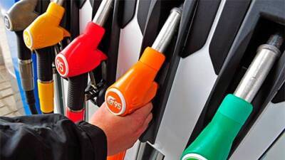 Shell - Крупные сети 15 февраля подняли цены на топливо - bin.ua - Украина