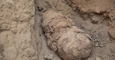 В Перу найдены мумии шести детей: их убили, чтобы сопроводить аристократа в подземный мир - focus.ua - Украина - Лима