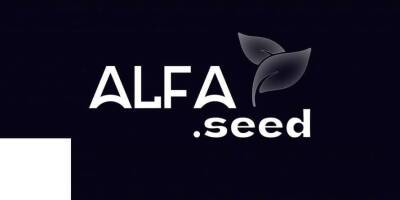 Крупнейшее русскоязычное блокчейн-сообщество ALFA запускает собственный инкубатор - lenta.ua - Украина - Австралия - Колумбия - Япония - Мексика - Индия - Мальта - Вьетнам - Непал