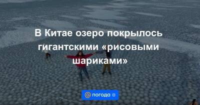 Анна Лысенко - В Китае озеро покрылось гигантскими «рисовыми шариками» - news.mail.ru - Китай
