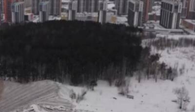 Александр Беглов - Шуваловский лес превратили в место для складирования грязного снега - actualnews.org - Санкт-Петербург