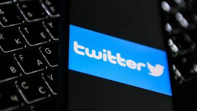 Ирина Рукавишникова - Суд утвердил штраф Twitter в 3 млн рублей за неудаление контента - iz.ru - Москва - Россия - Израиль - Twitter