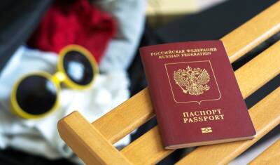В 2021 году россияне выезжали за границу в 1,5 раза чаще - newizv.ru - Россия - Египет - Турция - Кипр - Эмираты - Апсны - Таиланд