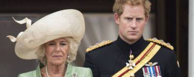Елизавета II - принц Гарри - принц Чарльз - принцесса Диана - королева-консорт Камилла - Принц Гарри публично продемонстрировал пренебрежение к будущей королеве-консорту Камилле - runews24.ru - Англия