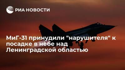 Истребители МиГ-31 ЗВО принудили "нарушителя" к посадке в небе над Ленинградской областью - ria.ru - Москва - Россия - Ленинградская обл.