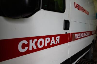 Густаво Зырянов - 75-летняя женщина погибла в пожаре под Новосибирском - sib.fm - Новосибирск - Новосибирская обл.