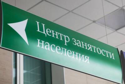 Владимирские работодатели за год нарушили закон почти 300 раз - vladimir.mk.ru