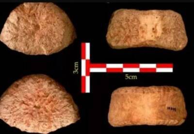 Археологи обнаружили окаменелость человека возрастом 1,5 миллиона лет - facenews.ua - Украина - Израиль