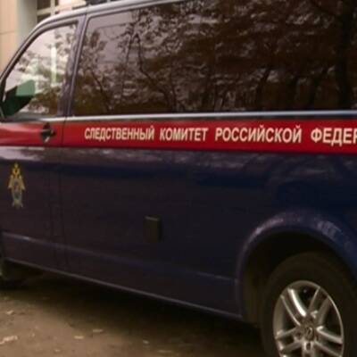 Двух восьмимесячных близнецов нашли в московской квартире - radiomayak.ru - Москва