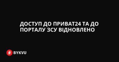 Доступ до Приват24 та до порталу ЗСУ відновлено - bykvu.com - Україна