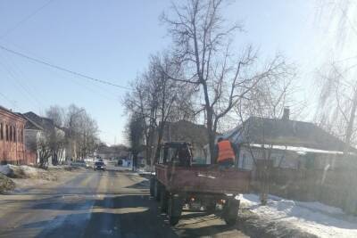 В брянском Новозыбкове удивились способу посыпки тротуара песком - mk.ru - Брянская обл.