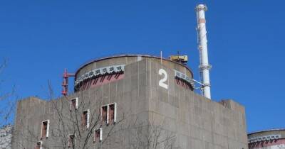 Один из блоков Запорожской АЭС отключили от энергосети - dsnews.ua - Украина