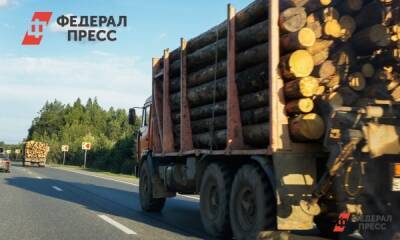 Югра продала за границу древесину на 93 млн рублей - fedpress.ru - Казахстан - Узбекистан - Ханты-Мансийск - Югра - Корея