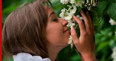 Опьяняющий аромат: 6 цветов для сада, которые сильнее всего пахнут ночью - profile.ru
