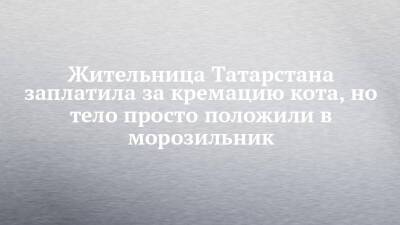 Жительница Татарстана заплатила за кремацию кота, но тело просто положили в морозильник - chelny-izvest.ru - респ. Татарстан - Набережные Челны - Нижнекамск