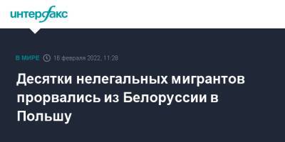 Десятки нелегальных мигрантов прорвались из Белоруссии в Польшу - interfax.ru - Москва - Сирия - Египет - Белоруссия - Польша - Литва - Йемен - Конго - Шри Ланка