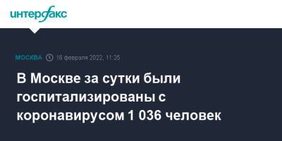 В Москве за сутки были госпитализированы с коронавирусом 1 036 человек - interfax.ru - Москва - Москва