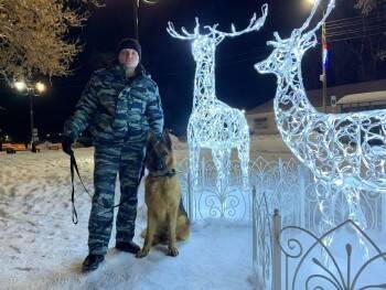 Собака помогла найти мошенницу-гадалку из Великого Устюга - vologda-poisk.ru - Россия - Вологодская обл. - район Великоустюгский